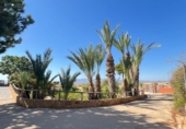 Casa de camp amb terreny en venda a la España, Vera, ref.: TR169278 foto