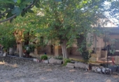 Casa de camp amb terreny en venda a la España, Múrcia, ref.: TR171178 foto