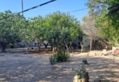 Casa de camp amb terreny en venda a la España, Múrcia, ref.: TR171178 foto