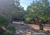Casa de camp amb terreny en venda a la España, Múrcia, ref.: TR171178 foto