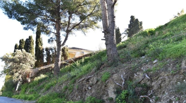 Jaen - La Iruela - 10000m2