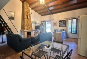 Alcalá de los Gazules 38164&nbsp;m² 