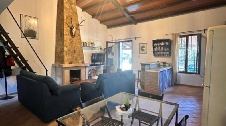 Cádiz - Alcalá de los Gazules - 38164m2