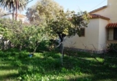 Xalet independent amb terreny en venda a la España, Dénia, ref.: TR147852 foto