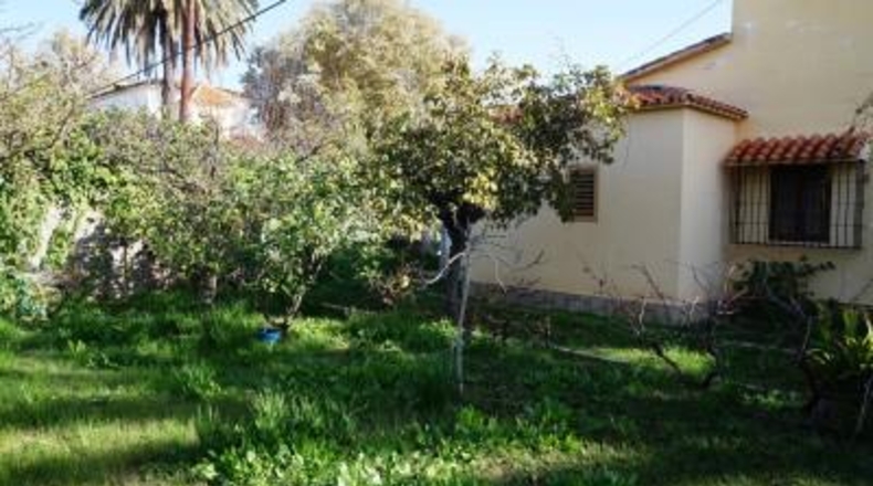 Alicante - Denia - 1206m2