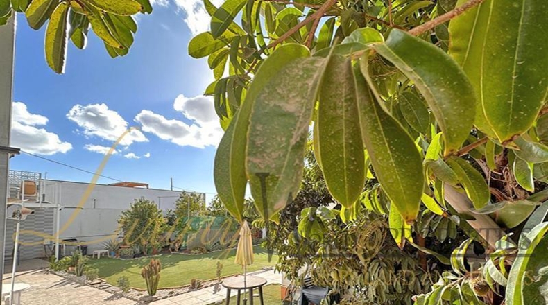 Santa Cruz de Tenerife - Arona - 500m2