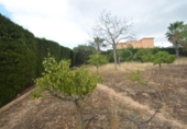 Xalet independent amb terreny en venda a la España, la Nucia, ref.: TR320566 foto
