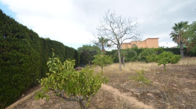 Alicante - la Nucia - 3000m2