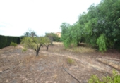 Xalet independent amb terreny en venda a la España, la Nucia, ref.: TR320566 foto