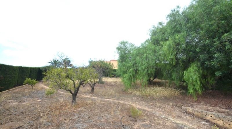 Alicante - la Nucia - 3000m2