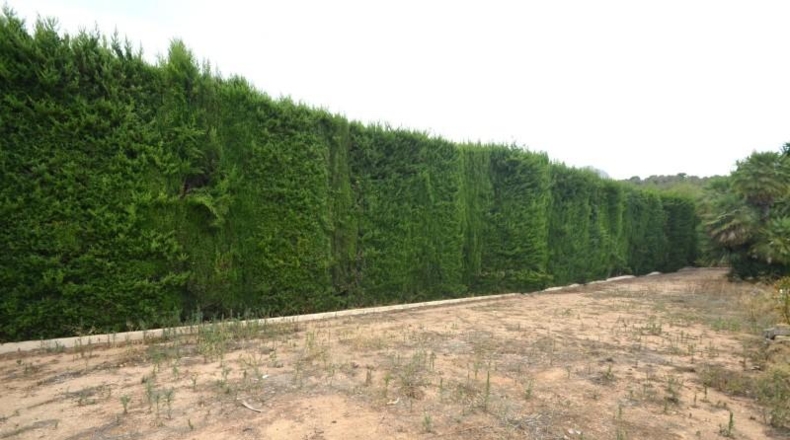 Alicante - la Nucia - 3000m2