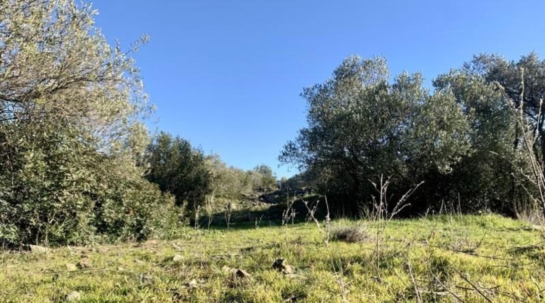 Gerona - Cadaqués - 696m2