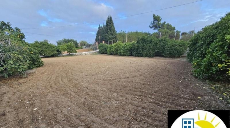 Cádiz - Jerez de la Frontera - 15500m2