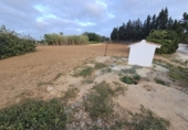 Xalet independent amb terreny en venda a la España, Jerez de la Frontera, ref.: TR153449 foto