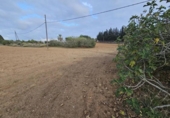 Xalet independent amb terreny en venda a la España, Jerez de la Frontera, ref.: TR153449 foto