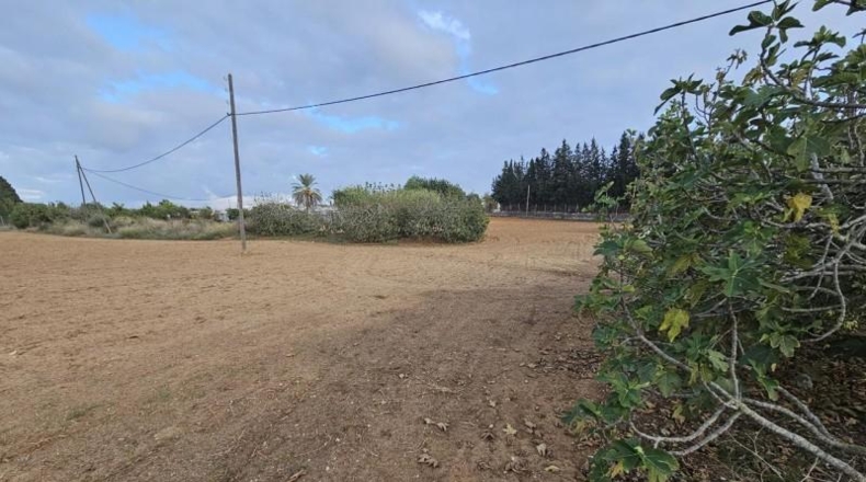 Cádiz - Jerez de la Frontera - 15500m2