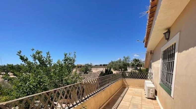 Alicante - San Vicente del Raspeig - 7225m2