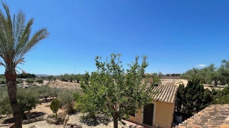 Alicante - San Vicente del Raspeig - 7225m2