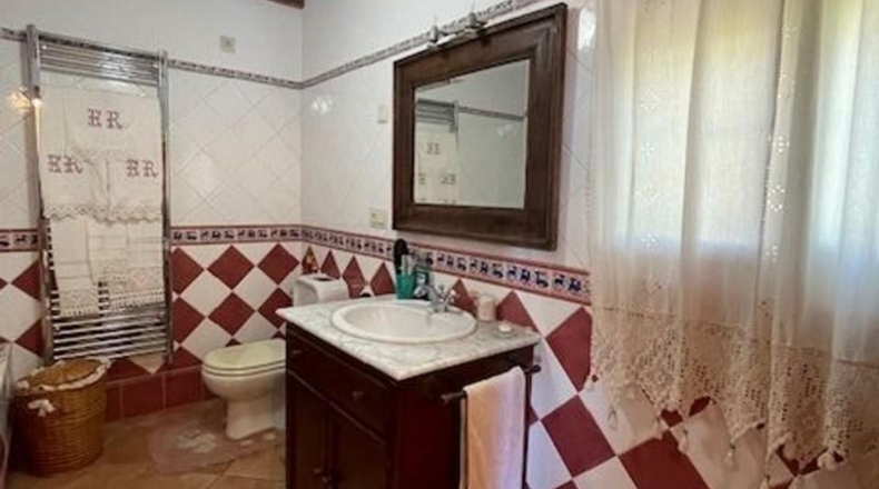 Alicante - San Vicente del Raspeig - 7225m2