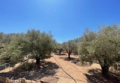 Xalet independent amb terreny en venda a la España, Sant Vicent del Raspeig, ref.: TR161561 foto