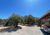 Xalet independent amb terreny en venda a la España, Sant Vicent del Raspeig, ref.: TR161561 foto