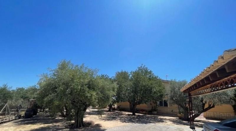 Alicante - San Vicente del Raspeig - 7225m2