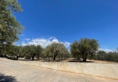 Xalet independent amb terreny en venda a la España, Sant Vicent del Raspeig, ref.: TR161561 foto
