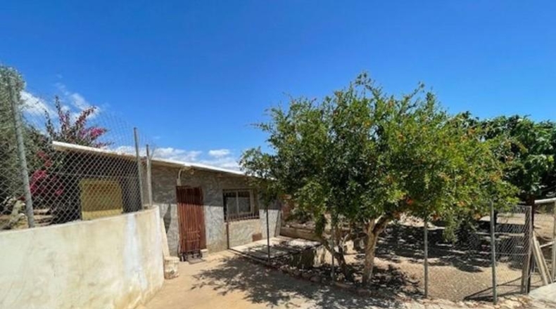Alicante - San Vicente del Raspeig - 7225m2