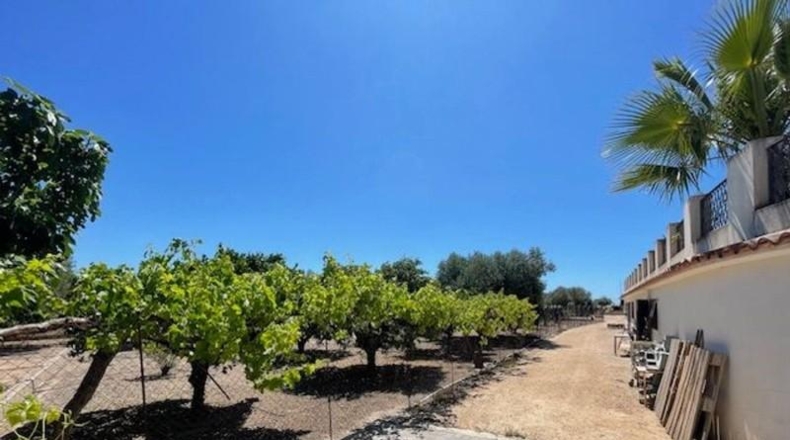 Alicante - San Vicente del Raspeig - 7225m2
