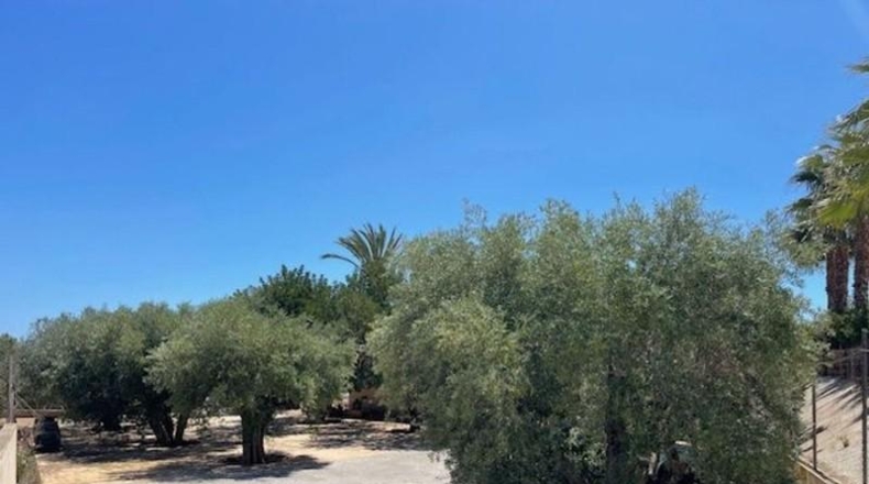 Alicante - San Vicente del Raspeig - 7225m2
