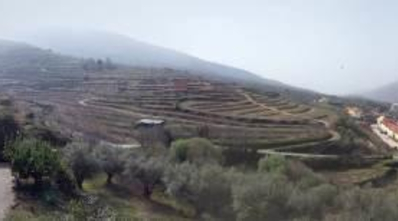 Cáceres - Cabezuela del Valle - 550m2