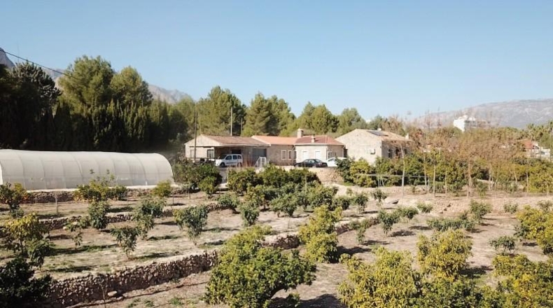 Alicante - La Nucía - 11000m2
