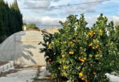 Chalet independiente con terreno en venta en la España, La Nucia, ref: TR155497 foto