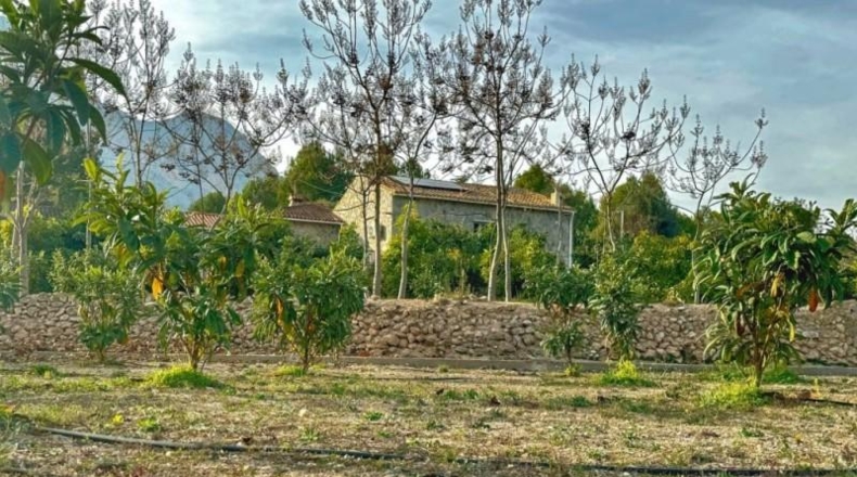Alicante - La Nucía - 11000m2