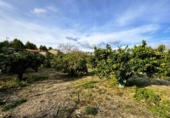 Chalet independiente con terreno en venta en la España, La Nucia, ref: TR155497 foto