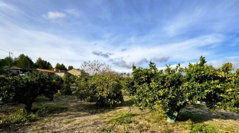 Alicante - La Nucía - 11000m2