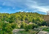 Chalet independiente con terreno en venta en la España, La Nucia, ref: TR155497 foto