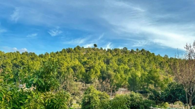 Alicante - La Nucía - 11000m2