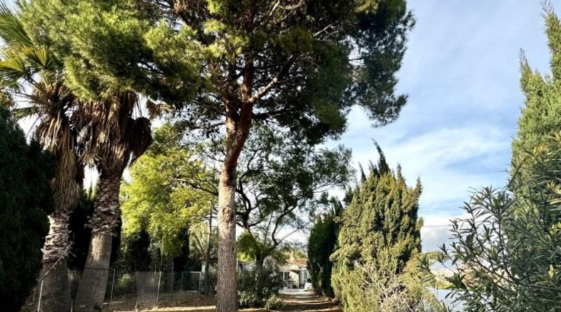 Alicante - La Nucía - 11000m2