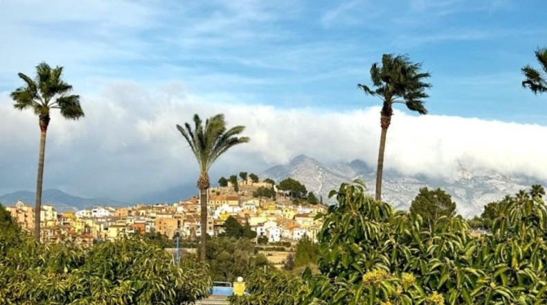 Alicante - La Nucía - 11000m2