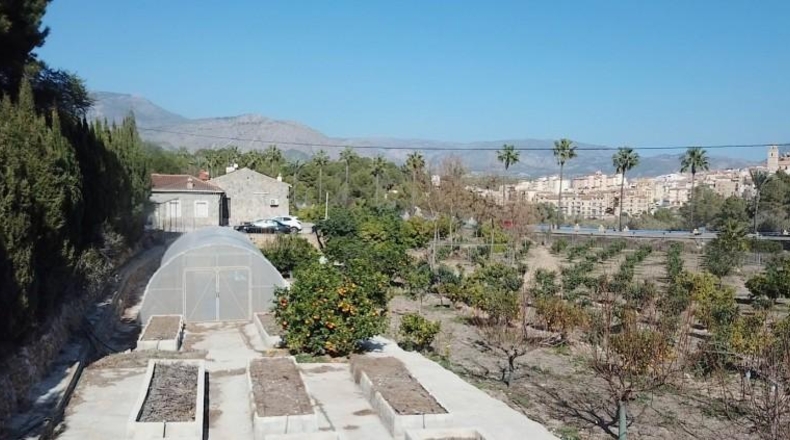 Alicante - La Nucía - 11000m2