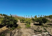 Chalet independiente con terreno en venta en la España, La Nucia, ref: TR155497 foto