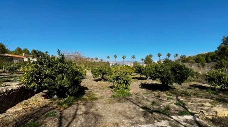 Alicante - La Nucía - 11000m2