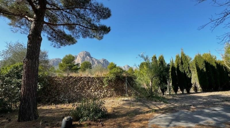 Alicante - La Nucía - 11000m2
