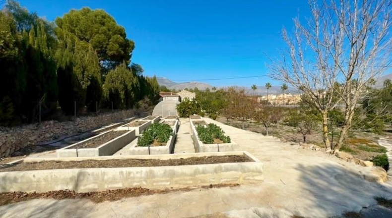 Alicante - La Nucía - 11000m2