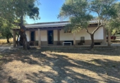 Xalet independent amb terreny en venda a la España, Alcalá de los Gazules, ref.: TR236277 foto