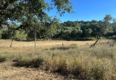 Xalet independent amb terreny en venda a la España, Alcalá de los Gazules, ref.: TR163055 foto