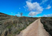 Land suitable for development for sale on España, Arcas, ref: TR343087 photo