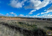 Land suitable for development for sale on España, Arcas, ref: TR343087 photo