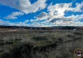 Land suitable for development for sale on España, Arcas, ref: TR343087 photo